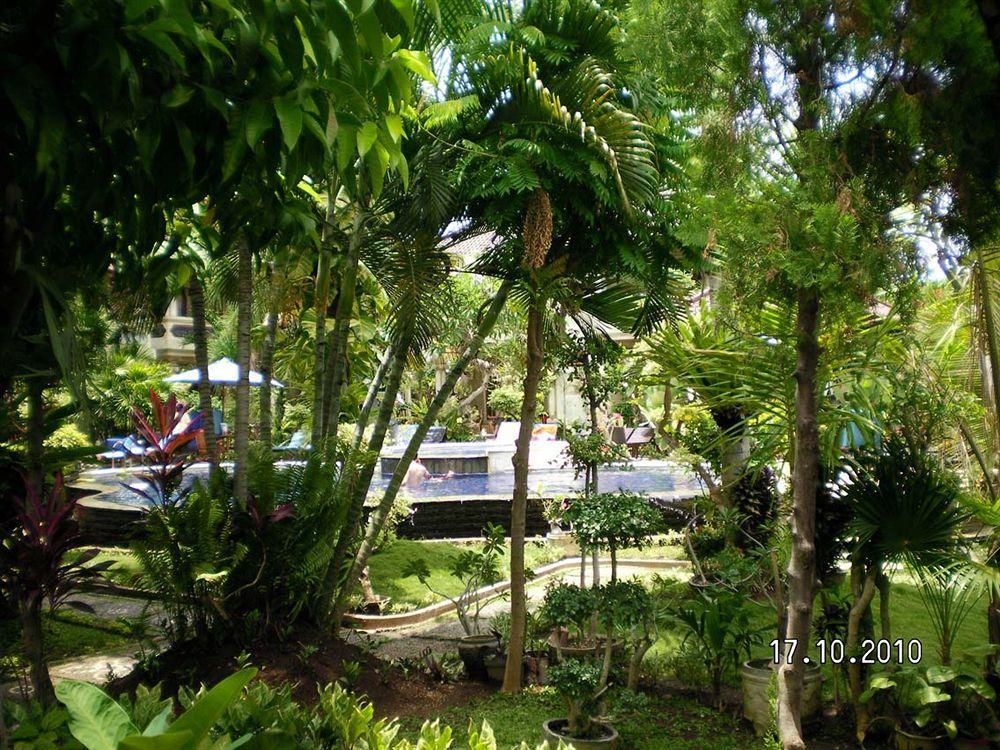 Suma 3* Lovina (Bali)